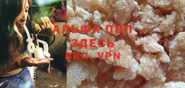прущие грибы Белоозёрский