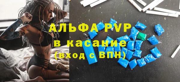 прущие грибы Белоозёрский